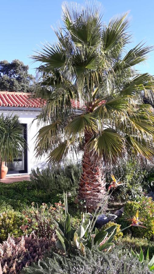 Apartmán Pirilampo Monchique Exteriér fotografie