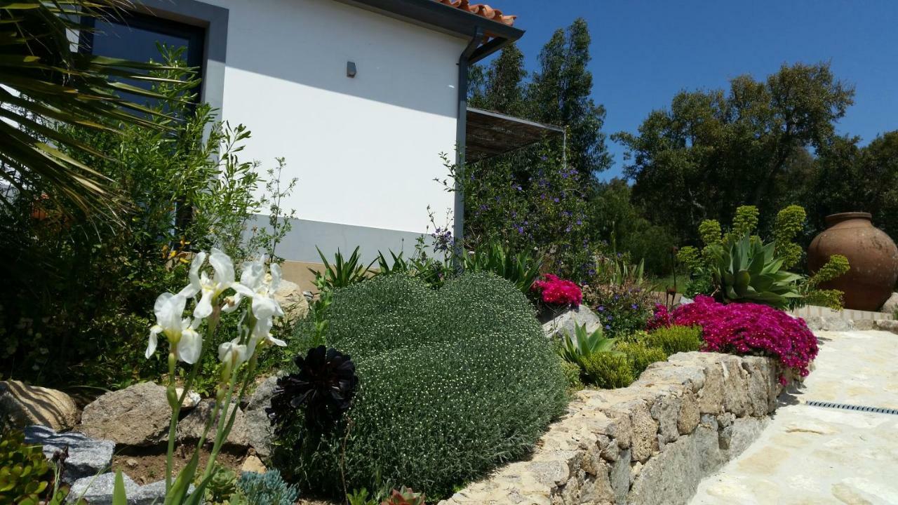 Apartmán Pirilampo Monchique Exteriér fotografie